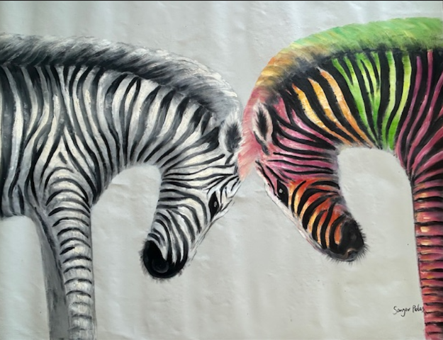 Colorful Zebra Duo