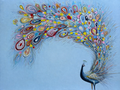 Colorful Peacock