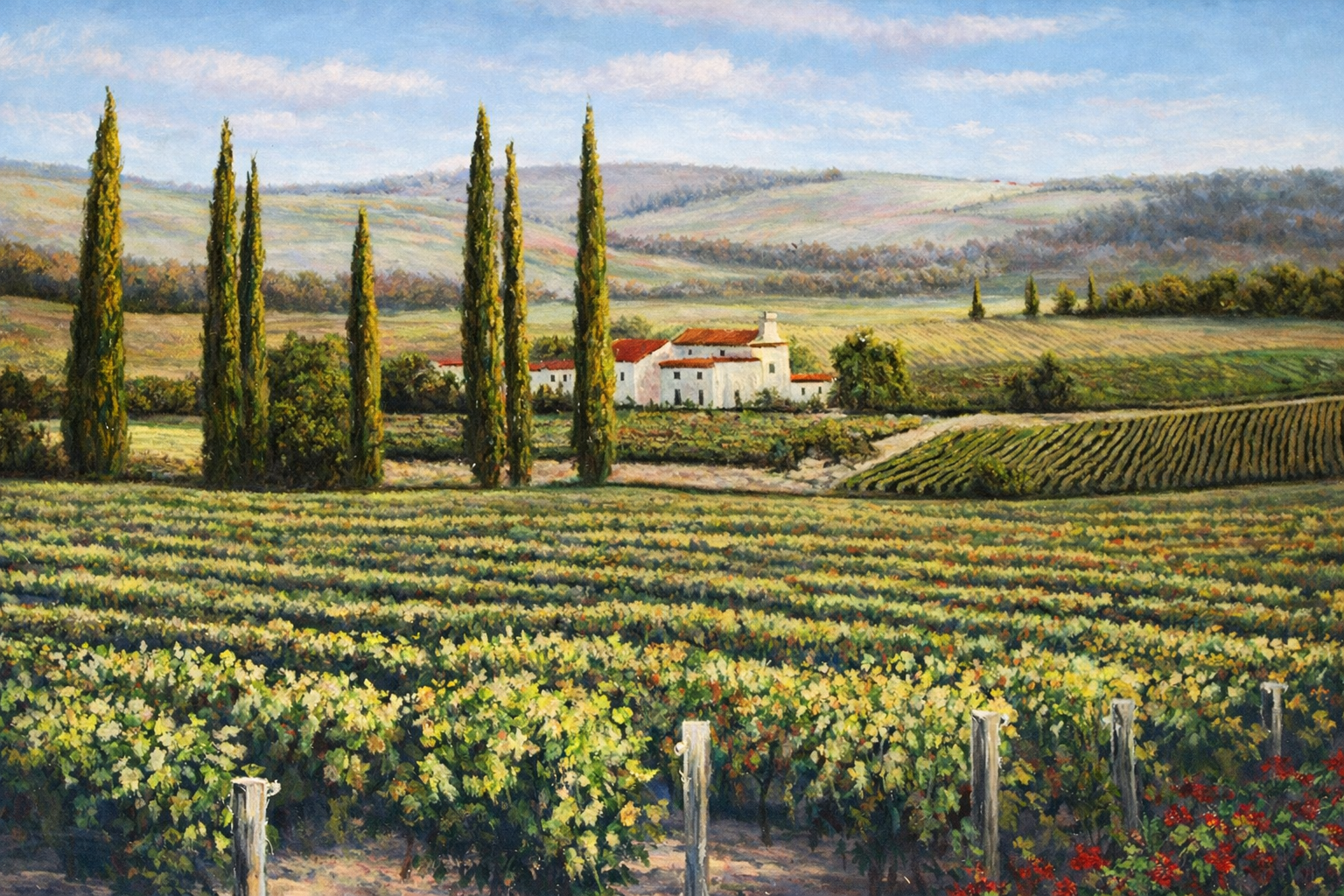 Tuscan Vineyard