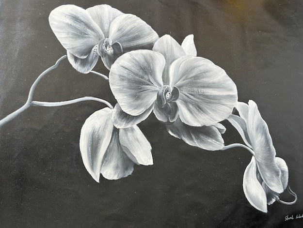 White Orchid III