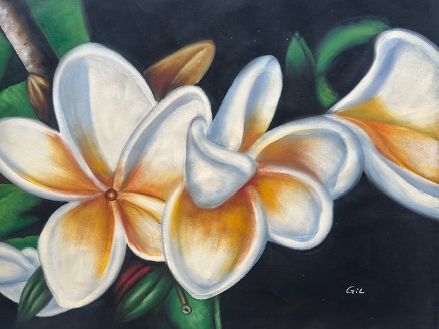 White Tropical Bloom