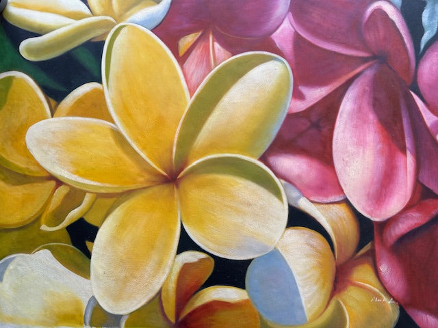White-Pink Tropical Bloom