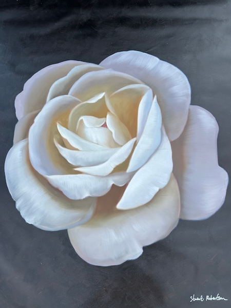 White Rose
