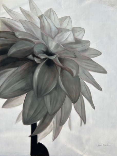 Gentle Dahlia