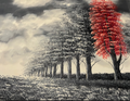 Black Forest - Lone Red Tree