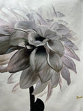 Gentle Dahlia