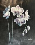 White Orchid I