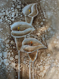 Sepia Callas I